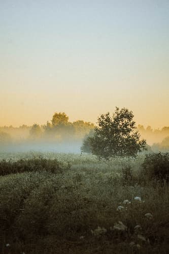 Пра праект