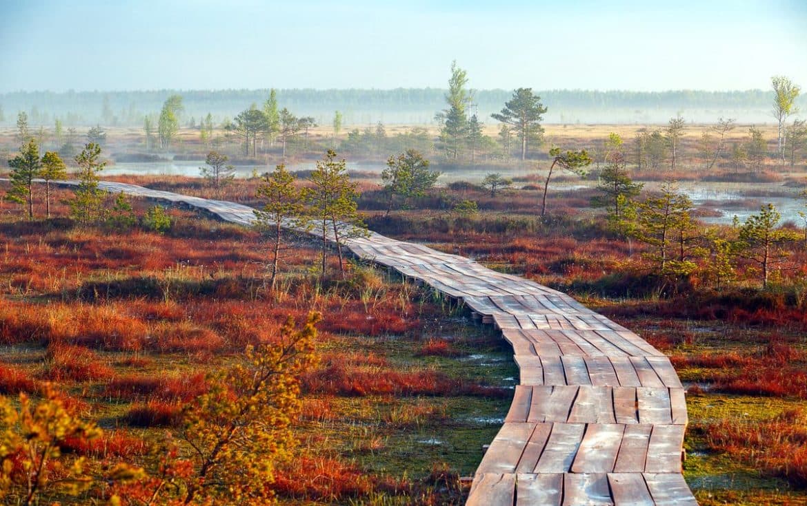 Republican landscape reserve "Yelnya"