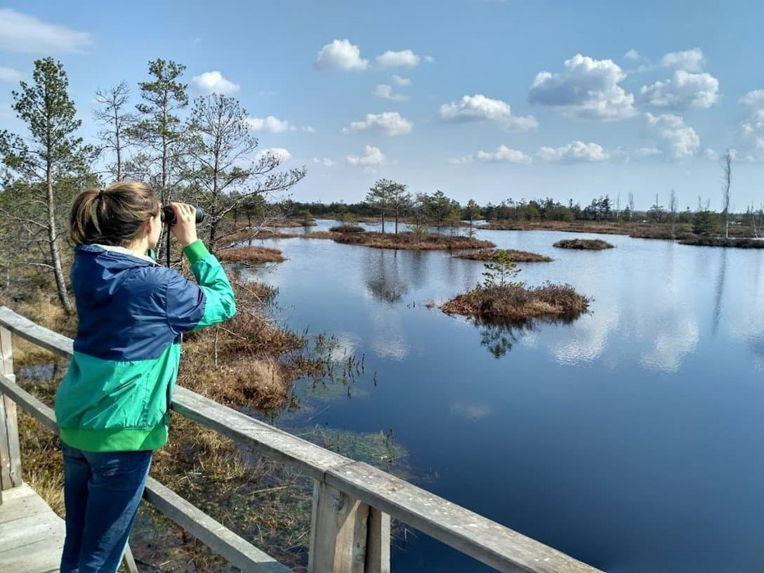 Republican landscape reserve "Yelnya"