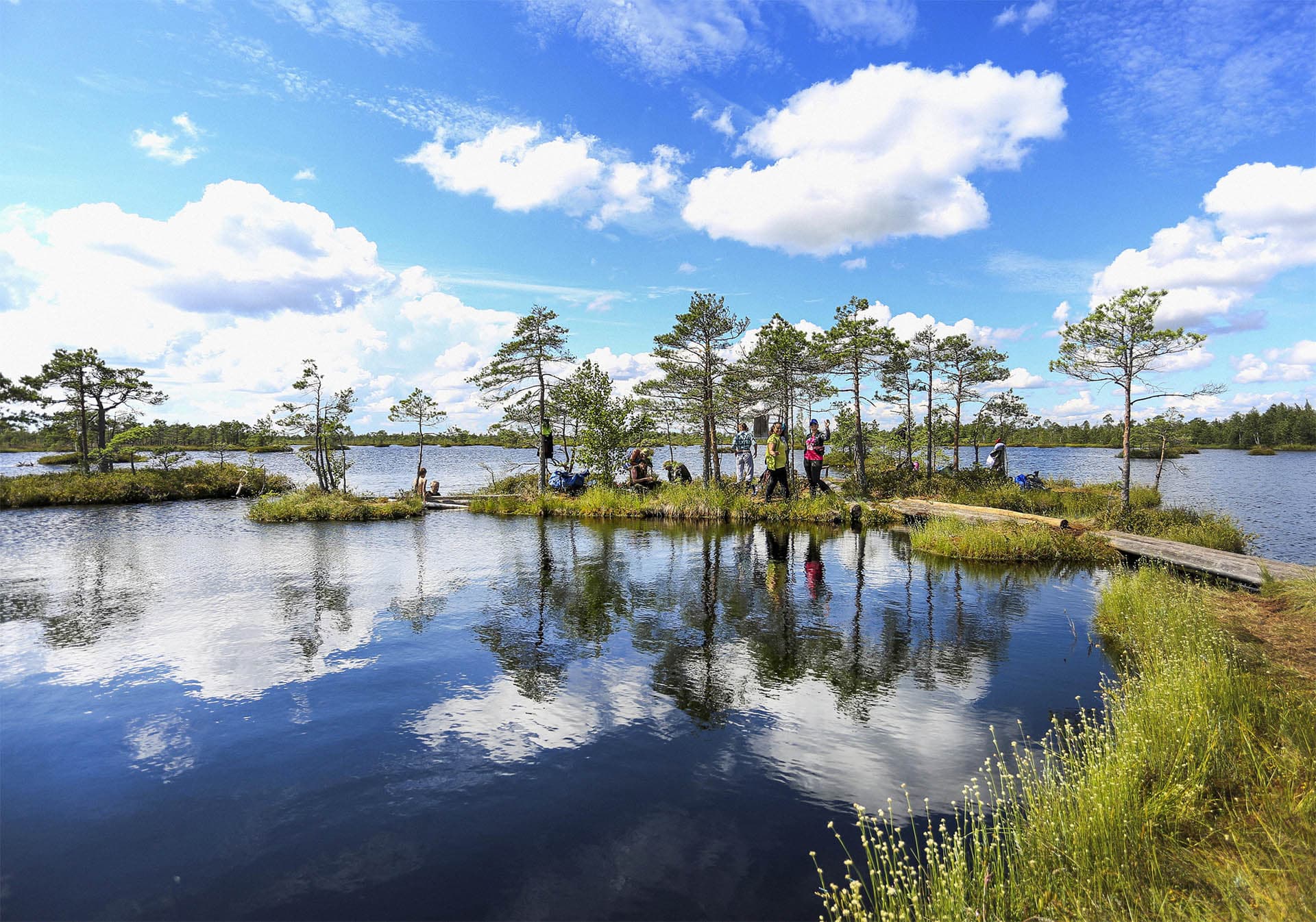 Republican landscape reserve "Yelnya"