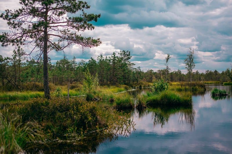 Republican landscape reserve "Yelnya"