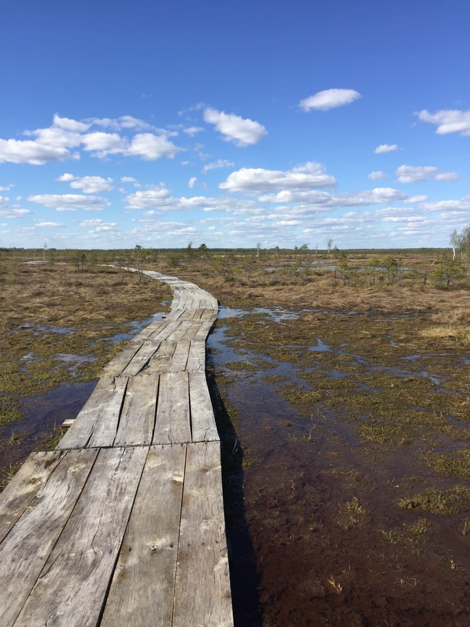 Republican landscape reserve "Yelnya"