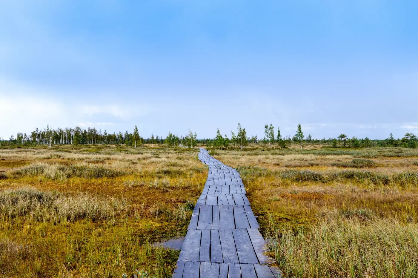 Republican landscape reserve "Yelnya"