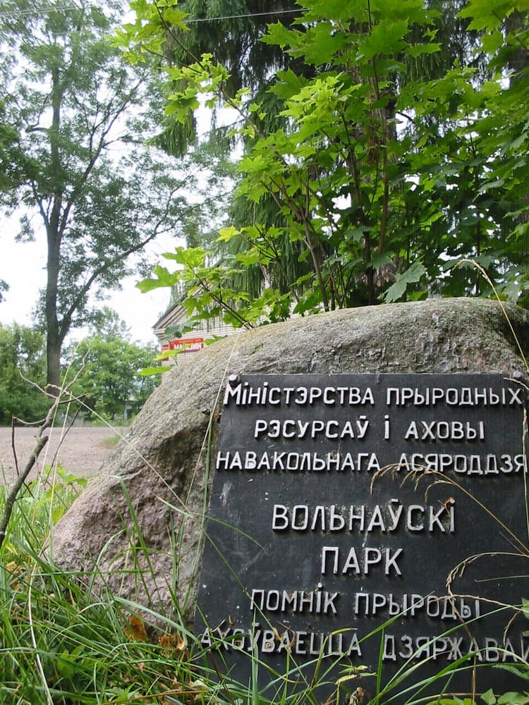 Вольно. Клуб-библиотека.