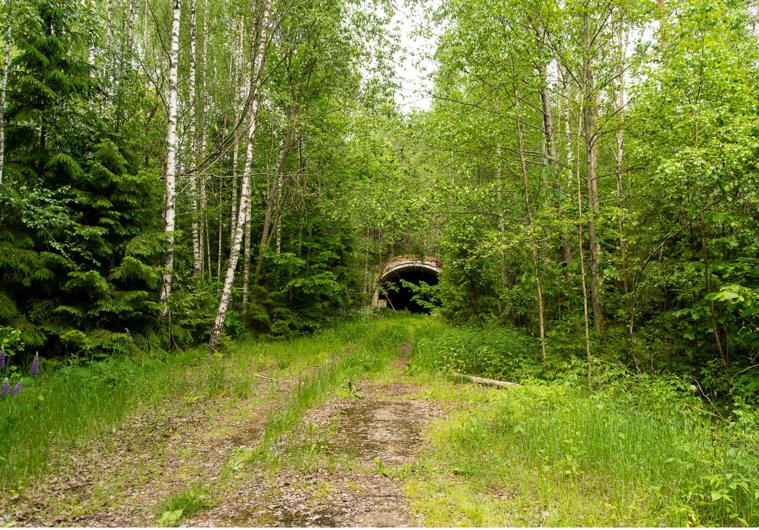Polotsk district. Former 249th missile regiment "Squadron".