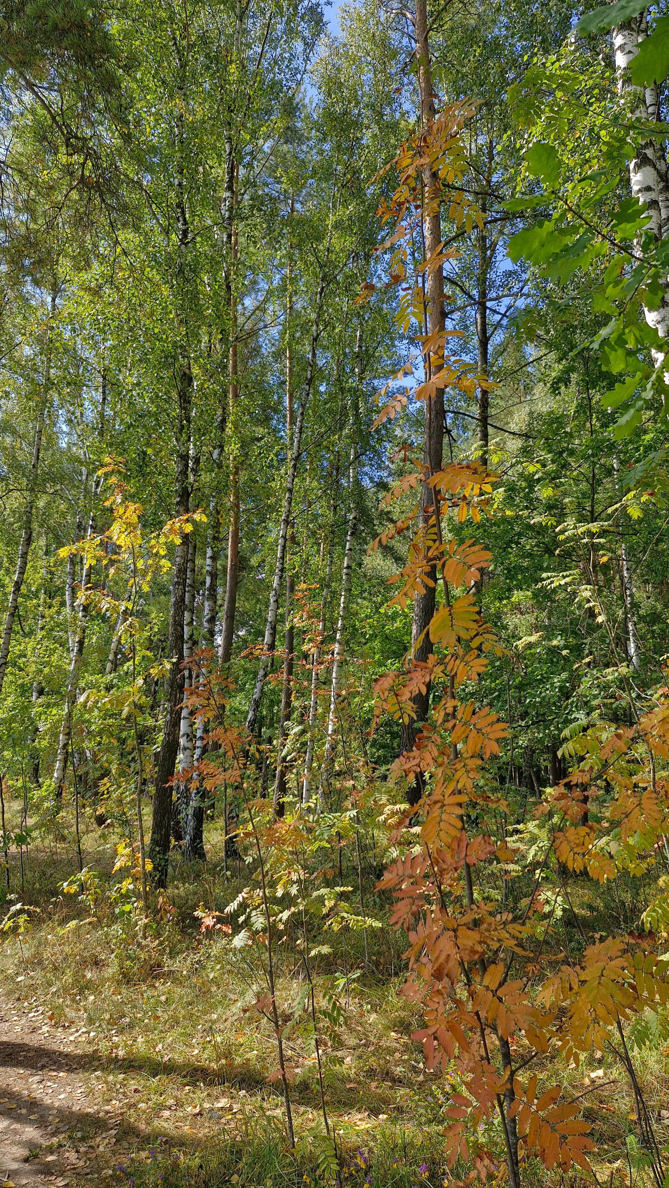 Pridneprovsky. The Pridneprovskaya Ecotrope. The Holy spring