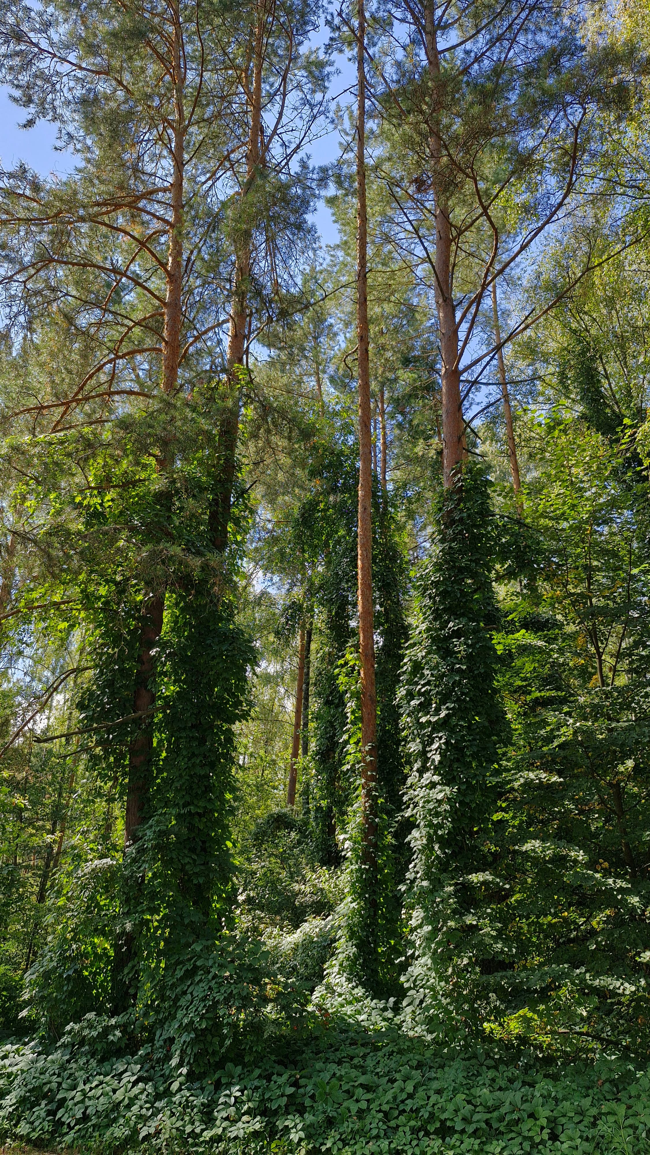 Pridneprovsky. The Pridneprovskaya Ecotrope. The Holy spring