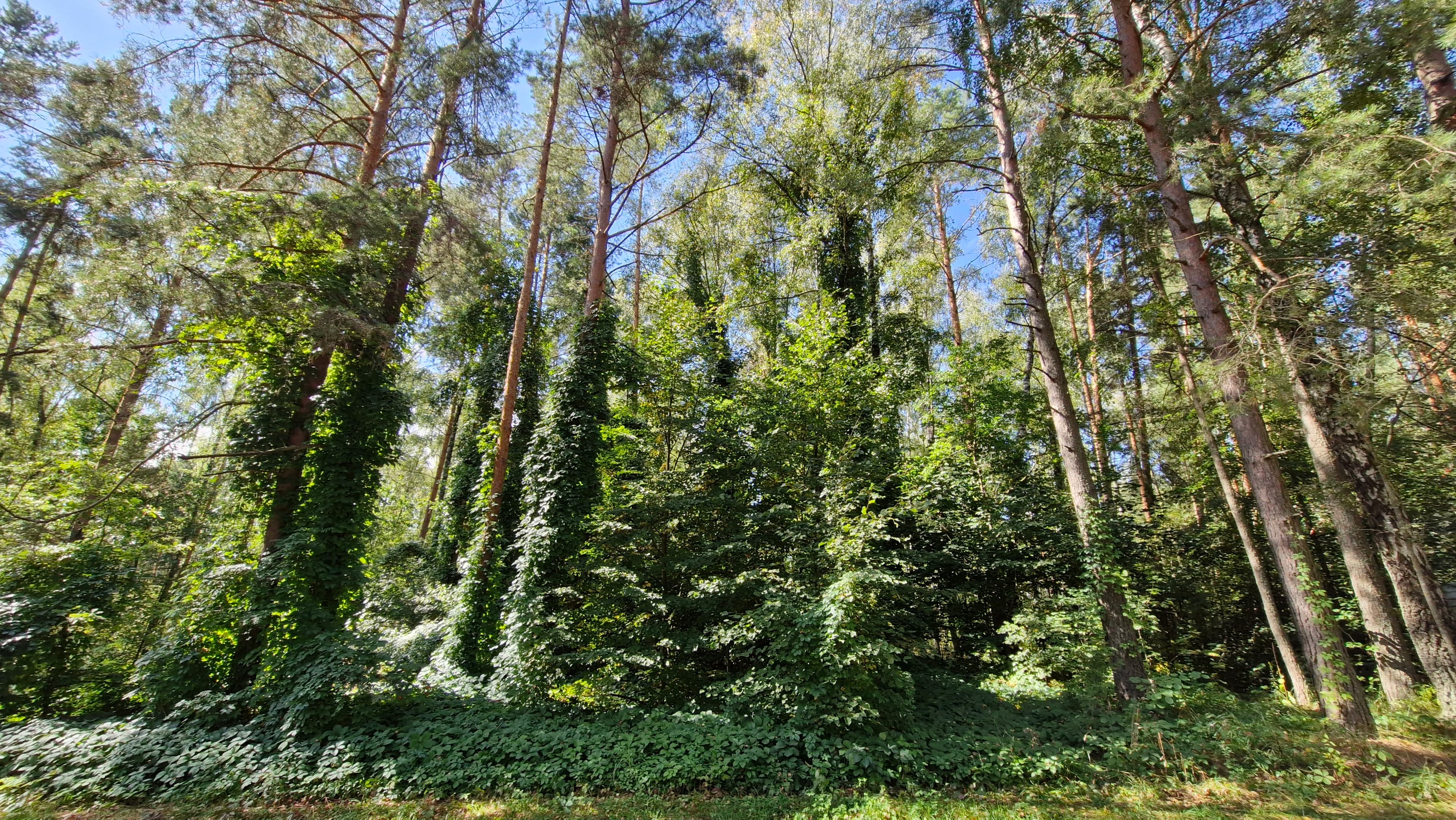 Pridneprovsky. The Pridneprovskaya Ecotrope. The Holy spring