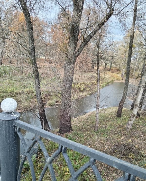 Наровлянский парк.