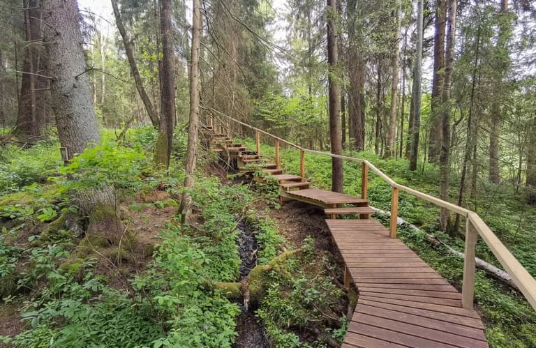 Gaidukovka. 'Holy Krinitsy' springs.