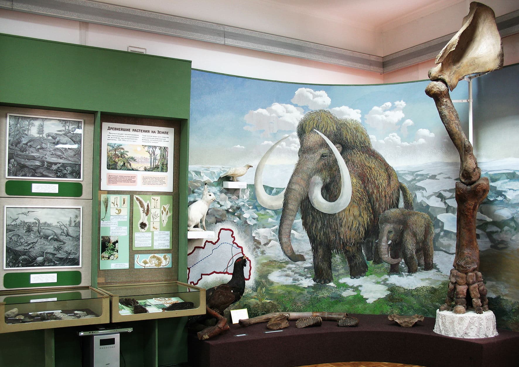 Brest. The Regional Museum of Local Lore.