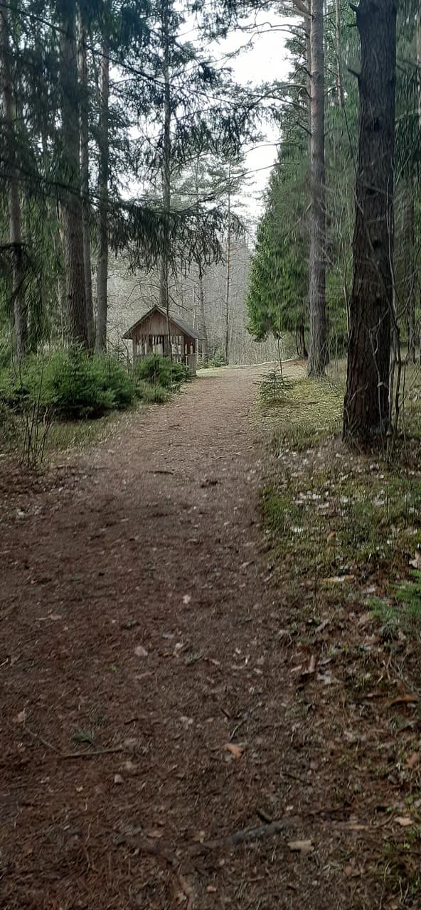 Gaidukovka. 'Holy Krinitsy' springs.
