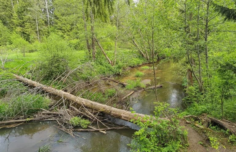 Gaidukovka. 'Holy Krinitsy' springs.