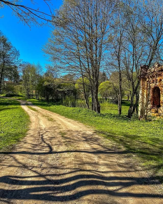 Тресковщина. Руины водяной мельницы на реке Ислочь.