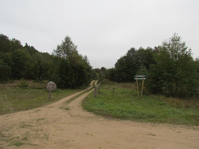 Карпиловка. Парк и дуб-патриарх усадьбы Ядвигина Ш.