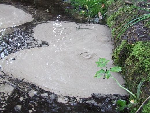 Bolshoi Boltsiksky spring.