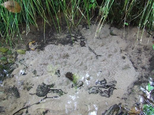 Bolshoi Boltsiksky spring.