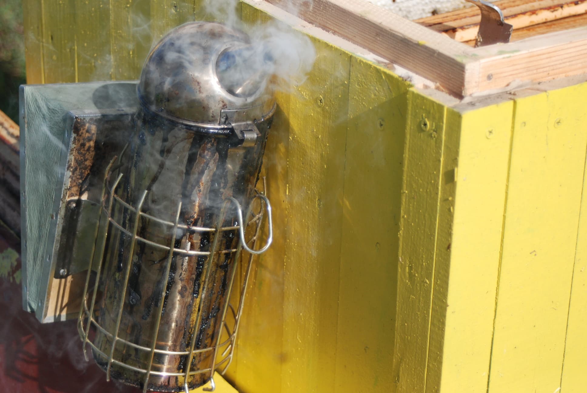 Парэчча. Экскурсія "Шлях пчалы".