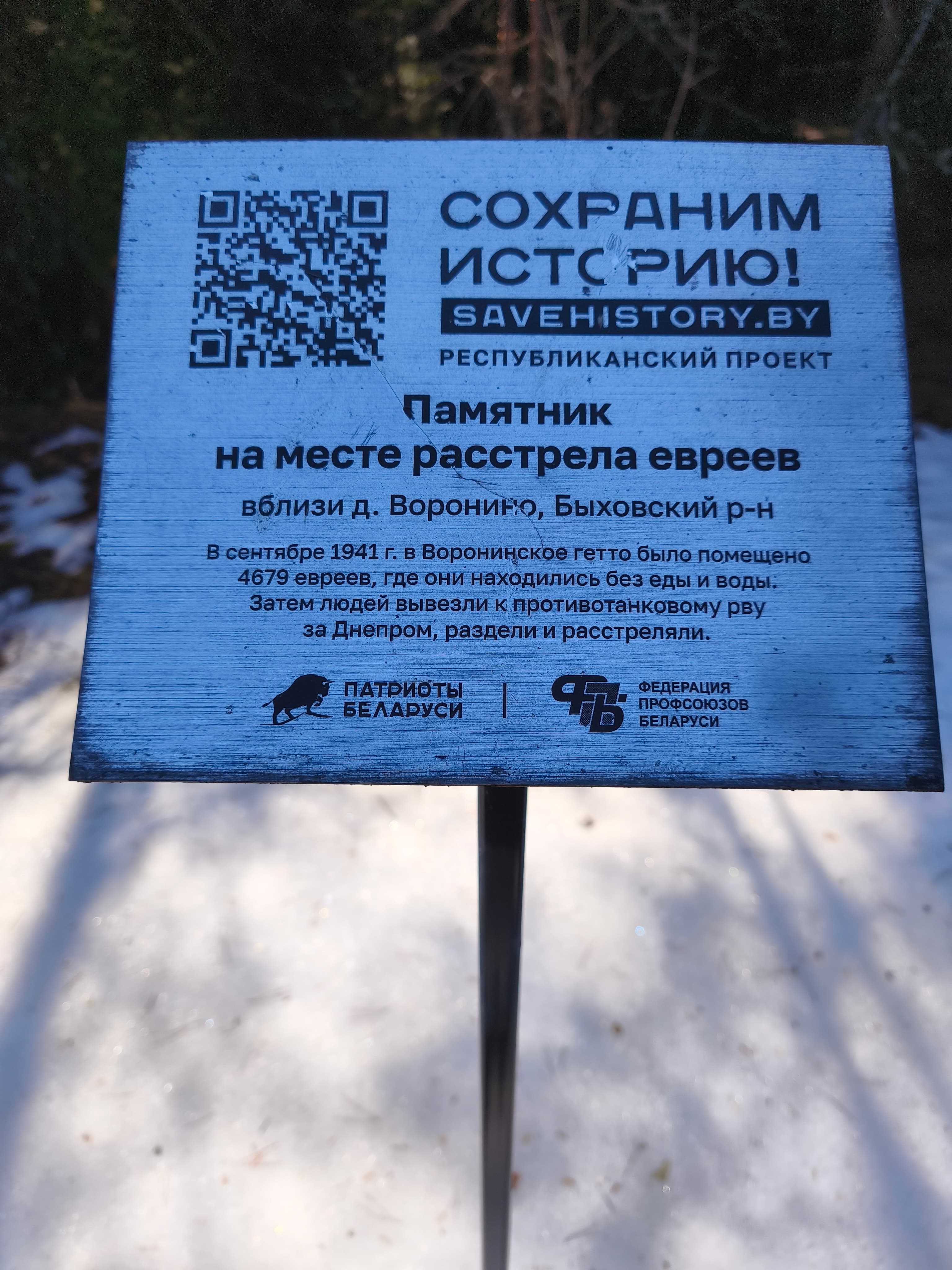 Вароніна. Помнік на месцы расстрэлу габрэяў.