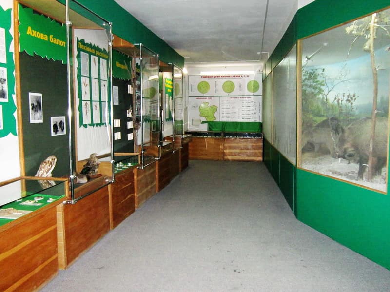 Kalinkovichi. The Museum of Local Lore.