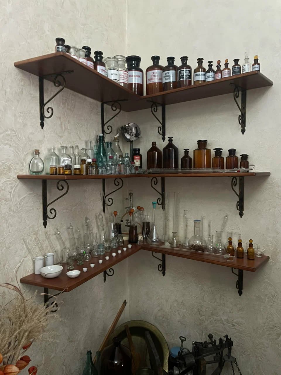 Brest. The Greenberg Pharmacy.