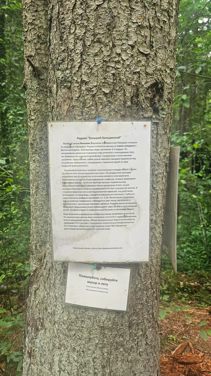 Bolshoi Boltsiksky spring.