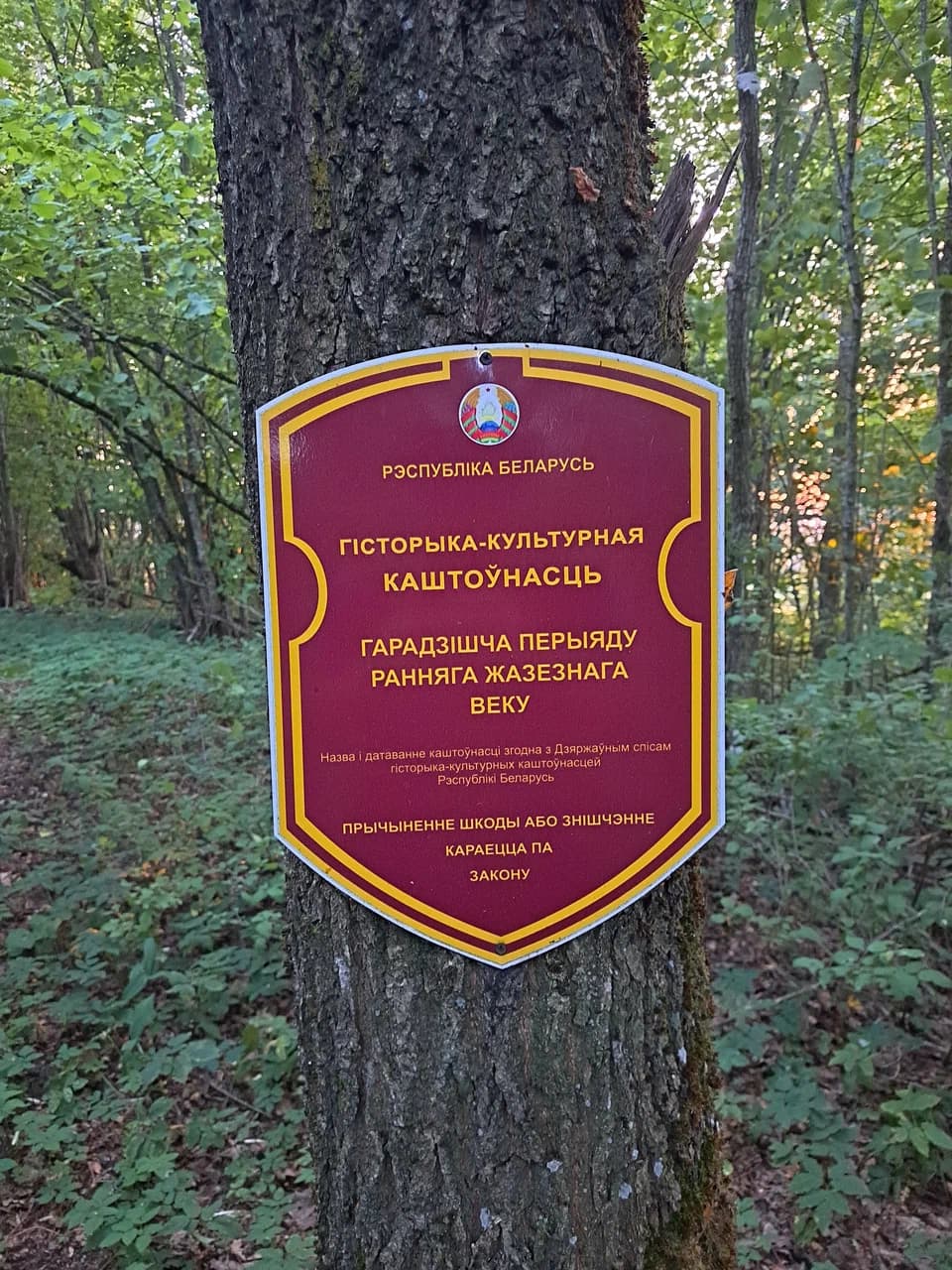 Варганская гара.