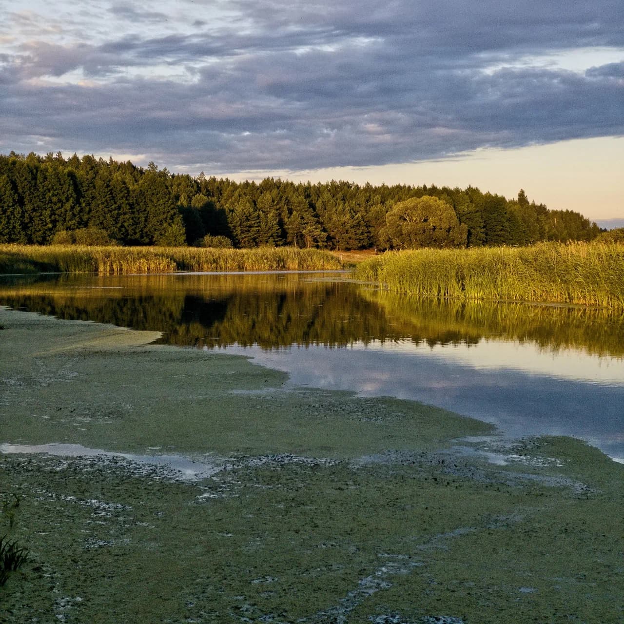 Спораўскі заказнік і экасцежка.
