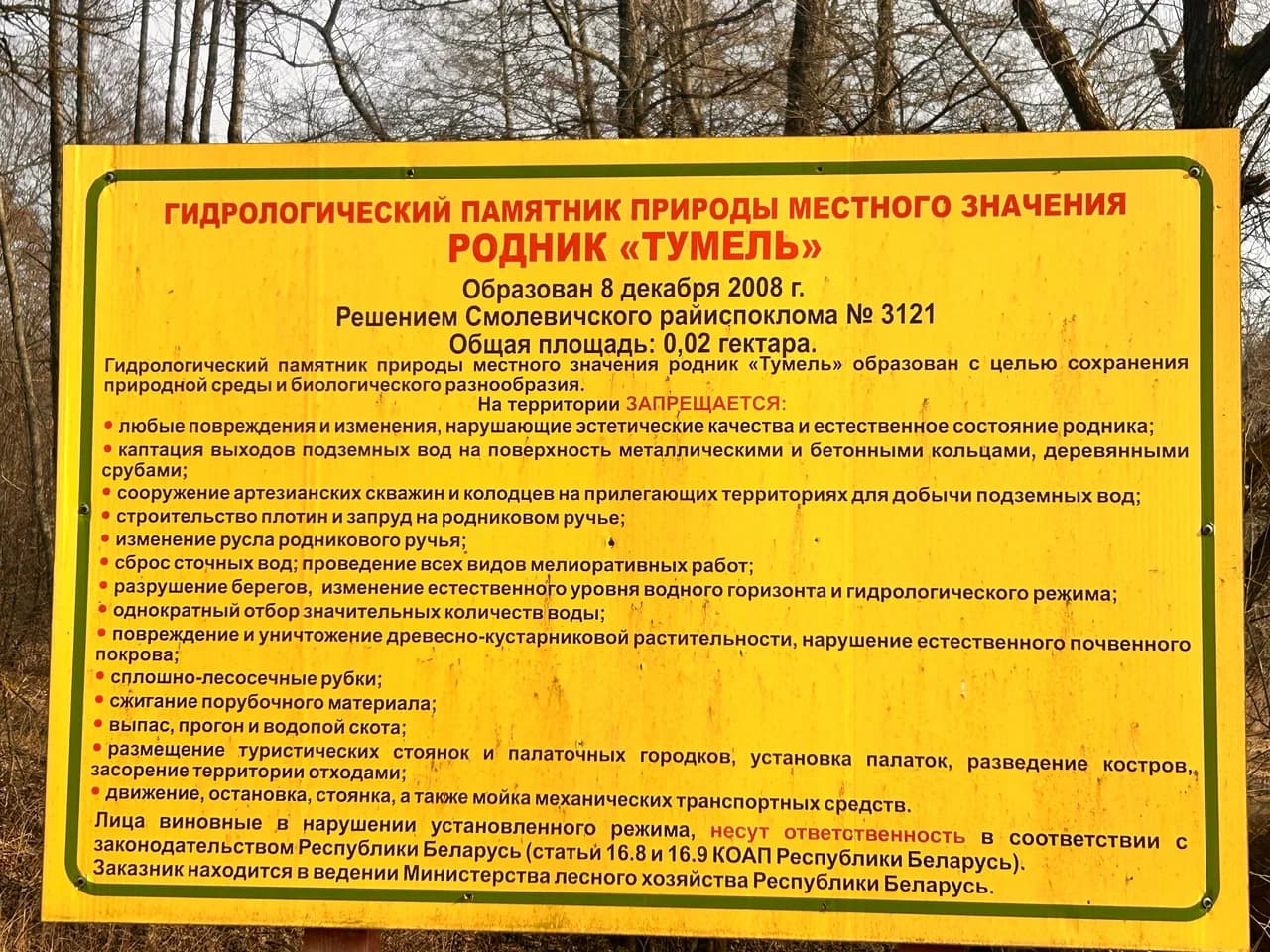 Тумельский родник.