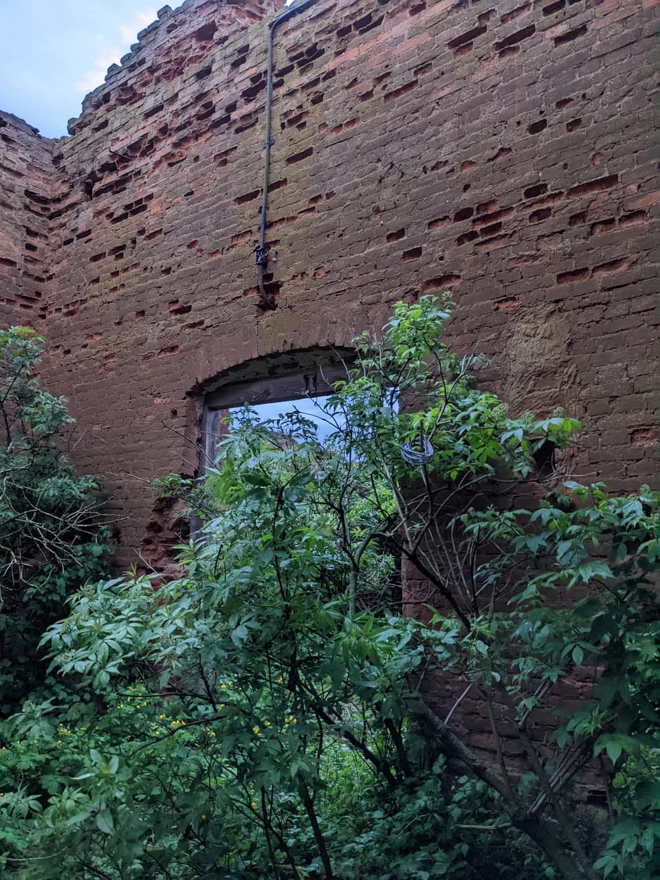 Савичи. Руины бровара усадьбы Войниловичей.