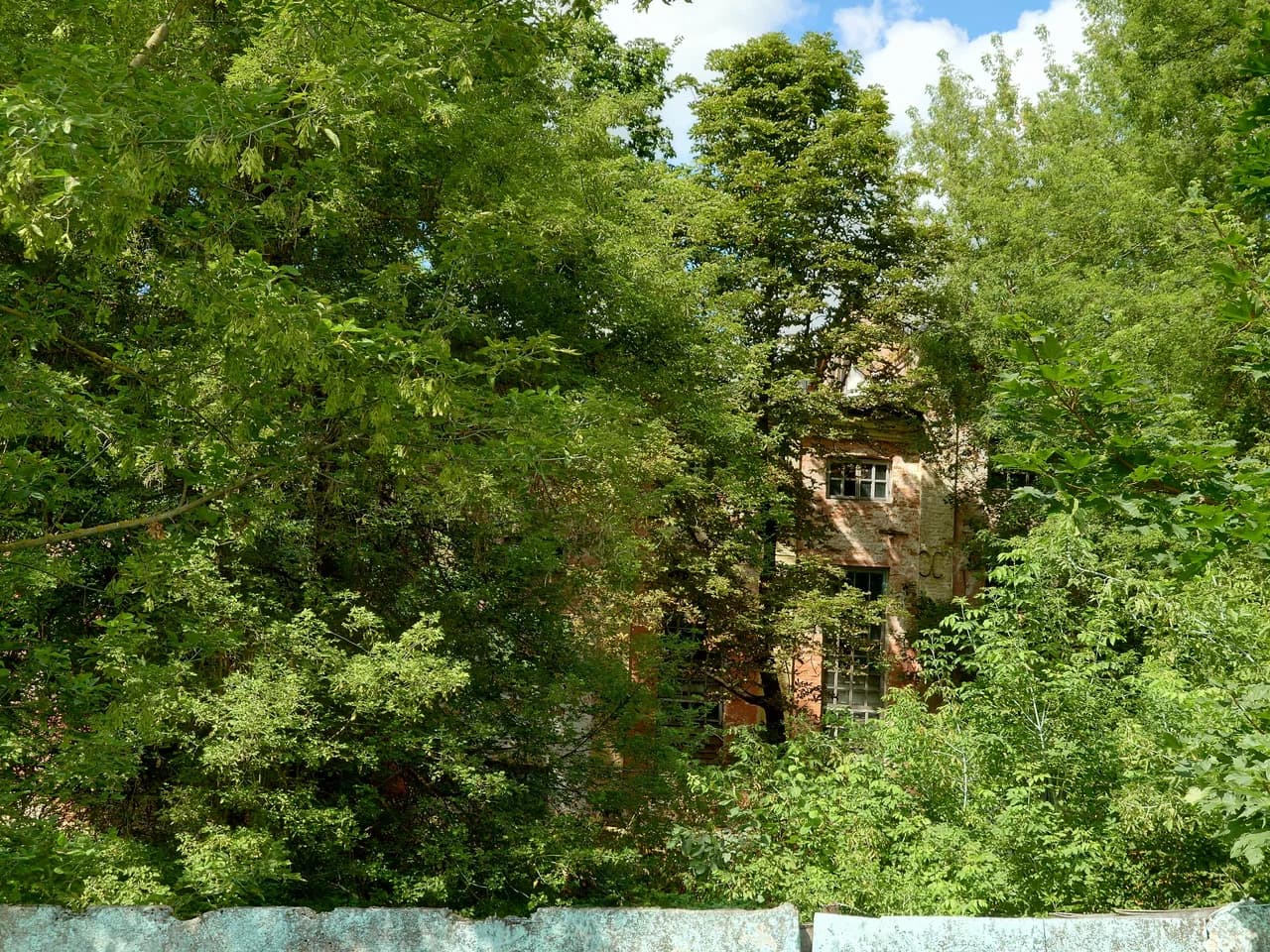 Корма. Усадебный комплекс Дориа-Дерноловичей Стефаново-Сарск