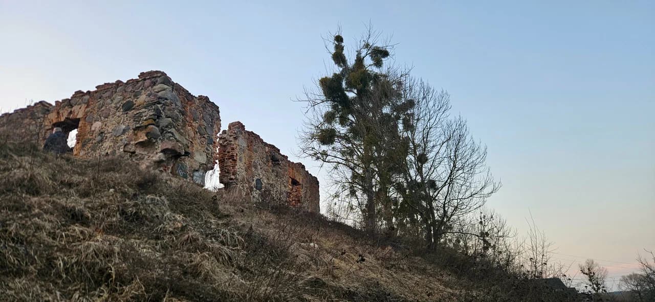 Свіслач. Замчышча.