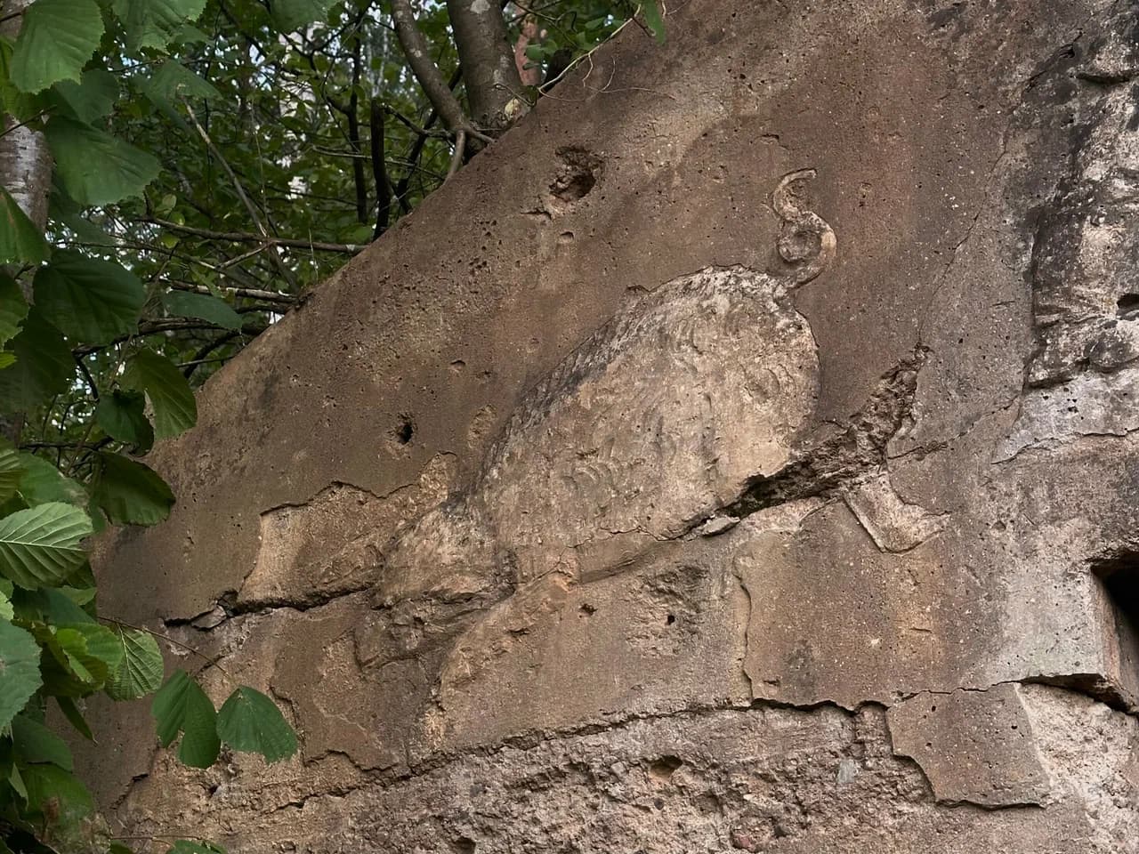 Крошин. Германские ДОТы Первой мировой войны.