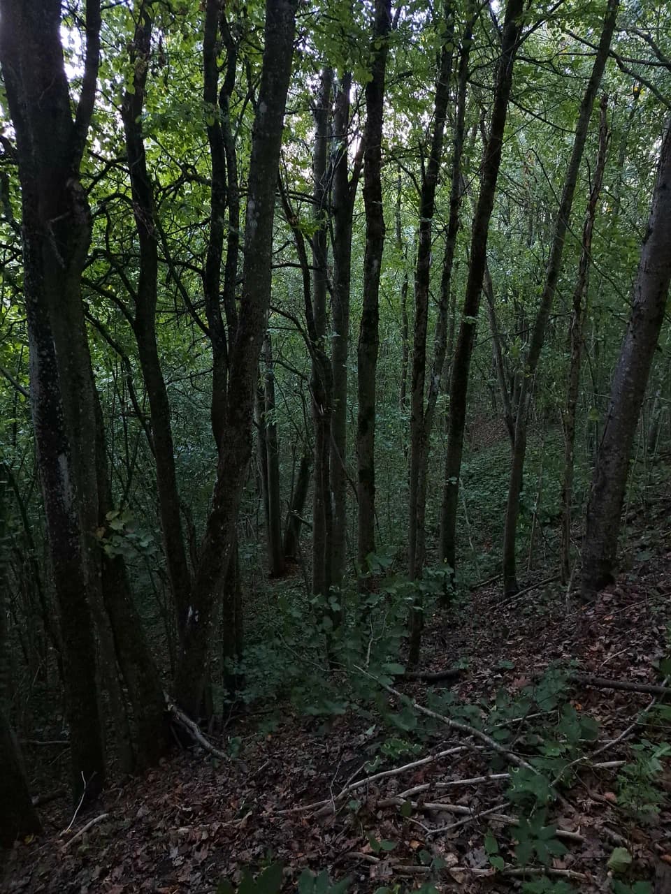 Варганская гара.