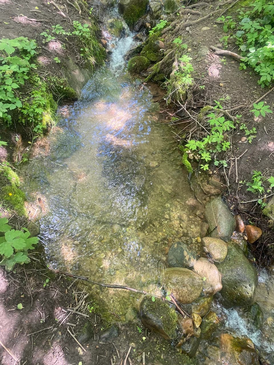 Юцкі. Юцкаўская крыніца.
