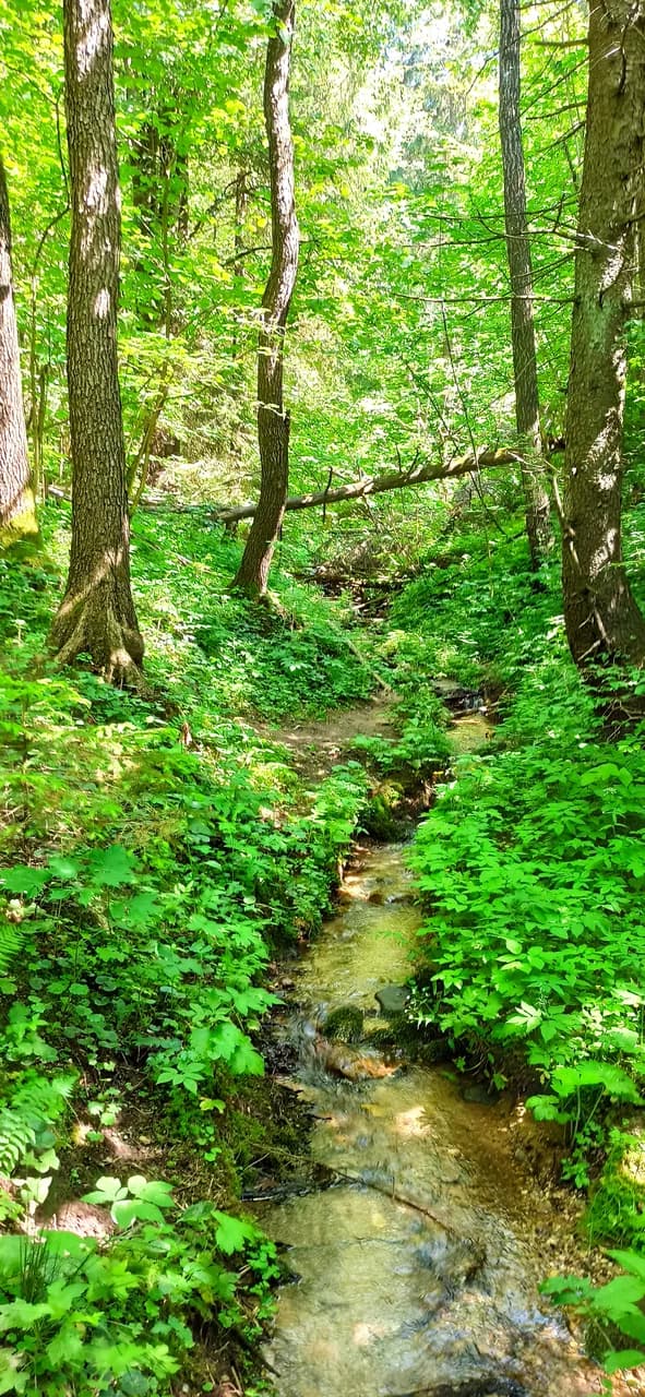 Юцкі. Юцкаўская крыніца.