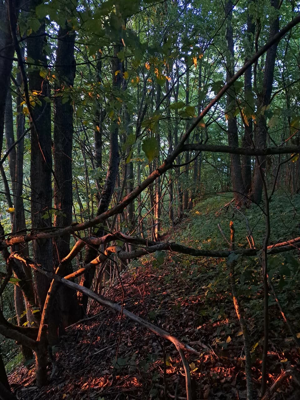 Варганская гара.