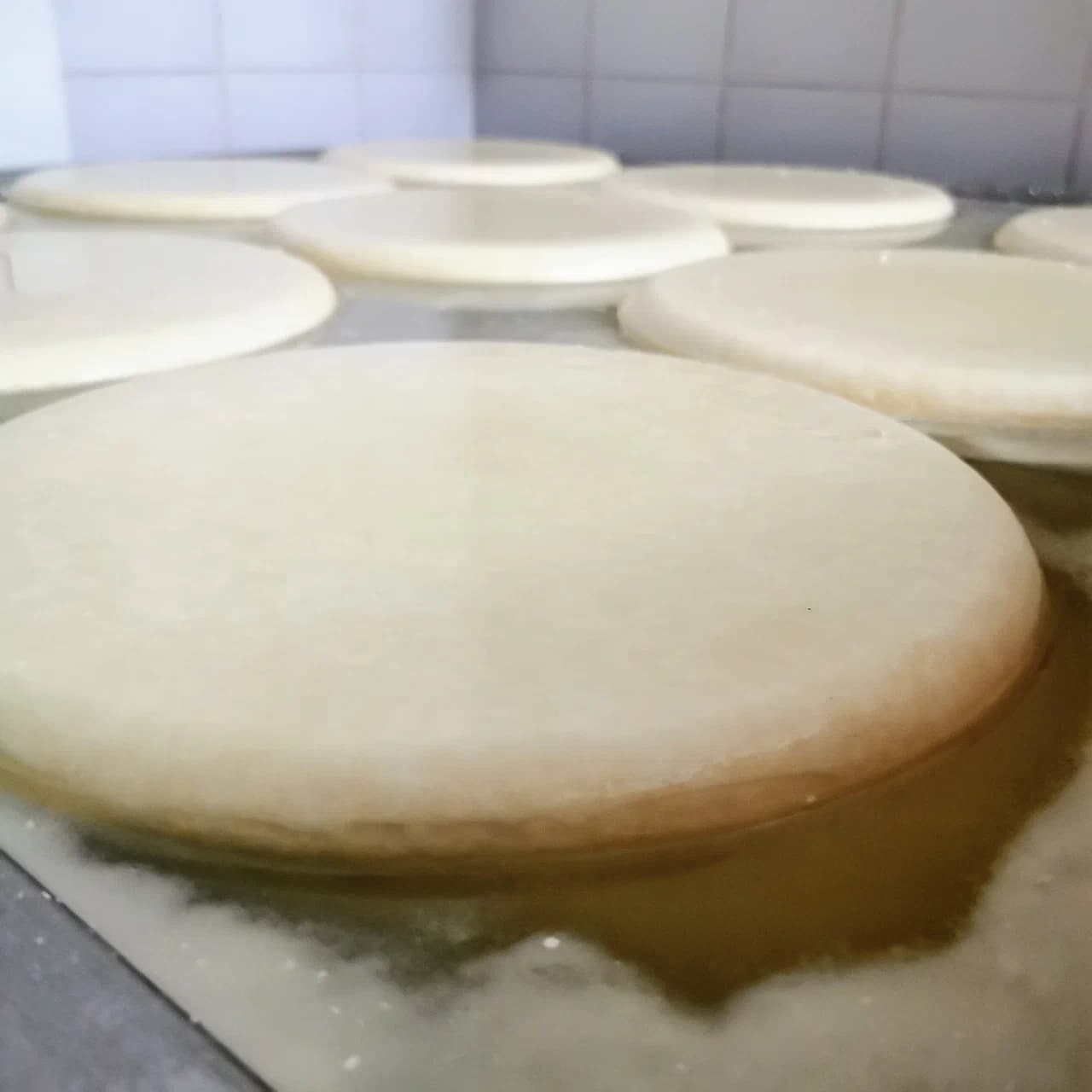 Полочаны. Экскурсия на сыроварню «Грандмилк».