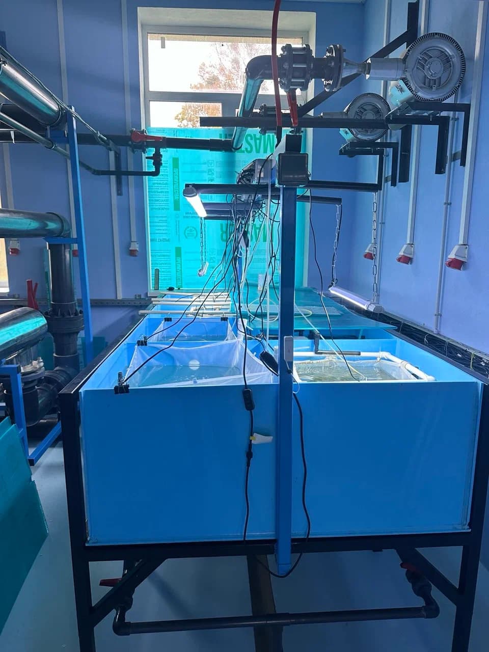 Olkhovtsy. Shrimp farm.