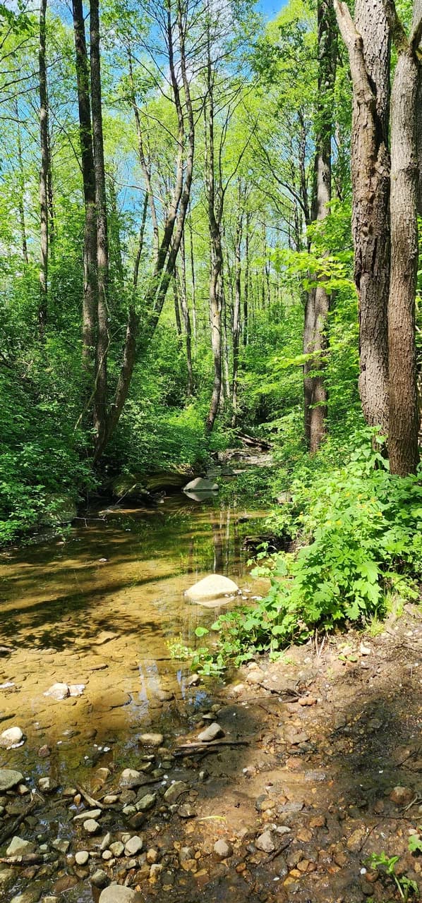 Юцкі. Юцкаўская крыніца.