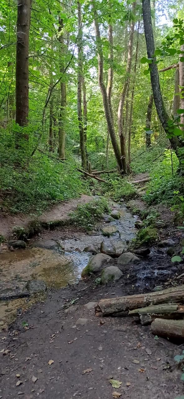 Юцкі. Юцкаўская крыніца.