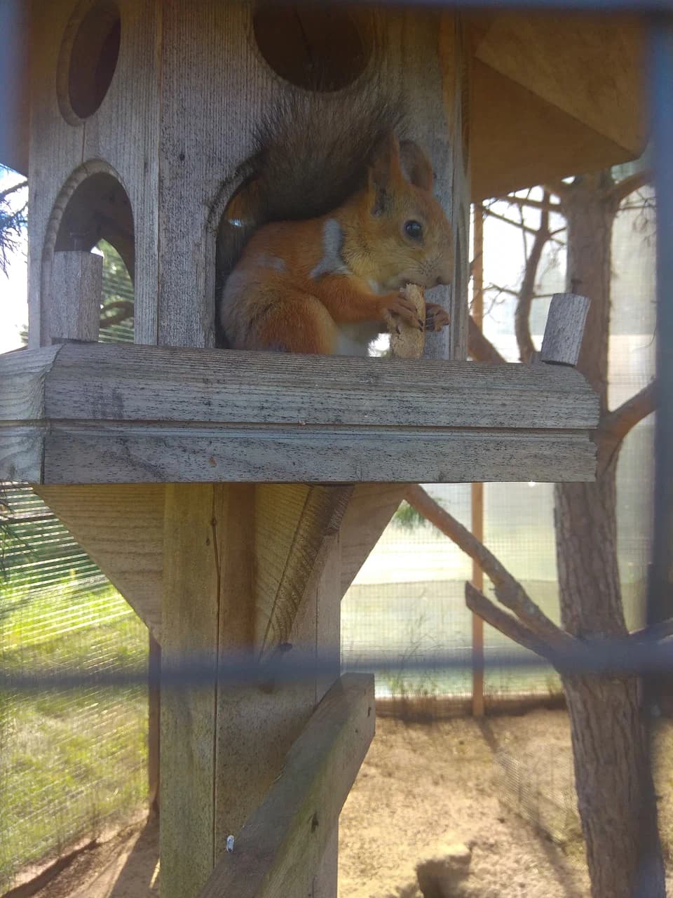 Zalesye. Zhirovichi Zoo (Garden of Eden).