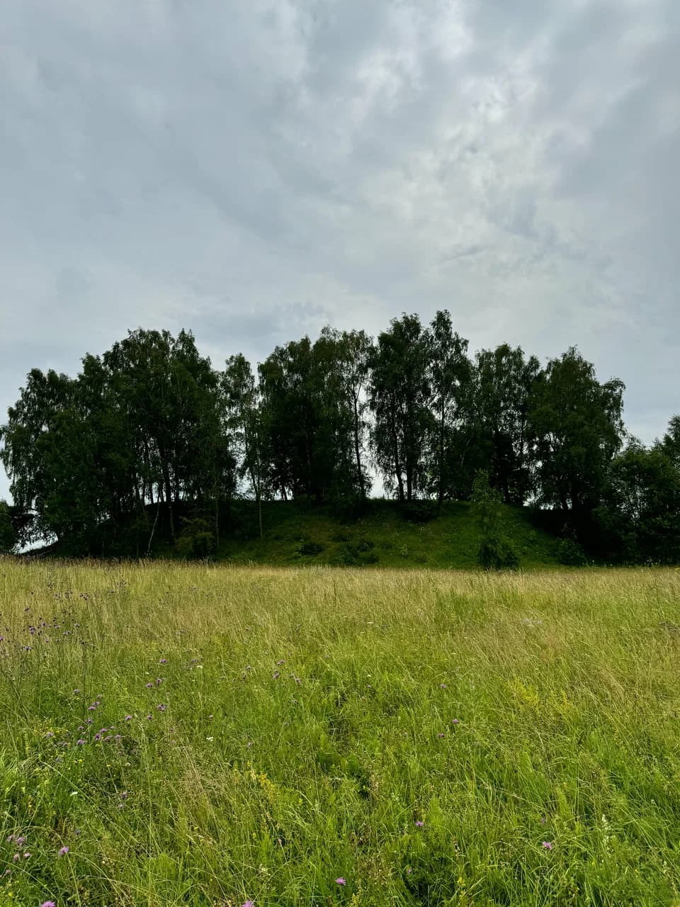 Chereya. The ancient settlement.