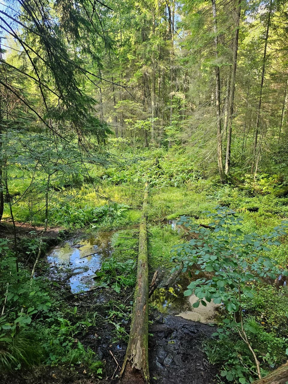 Bolshoi Boltsiksky spring.