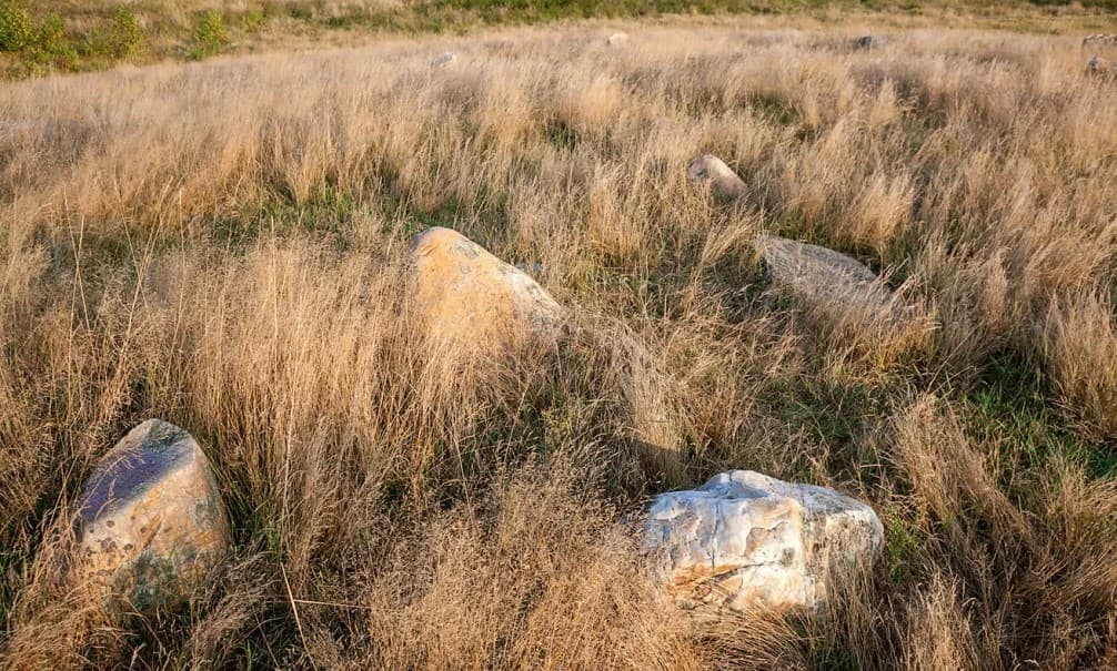 Malkovichi. The burial mound.
