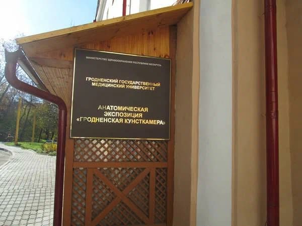 Гродна. Анатамічная экспазіцыя Гродзенская кунсткамера.