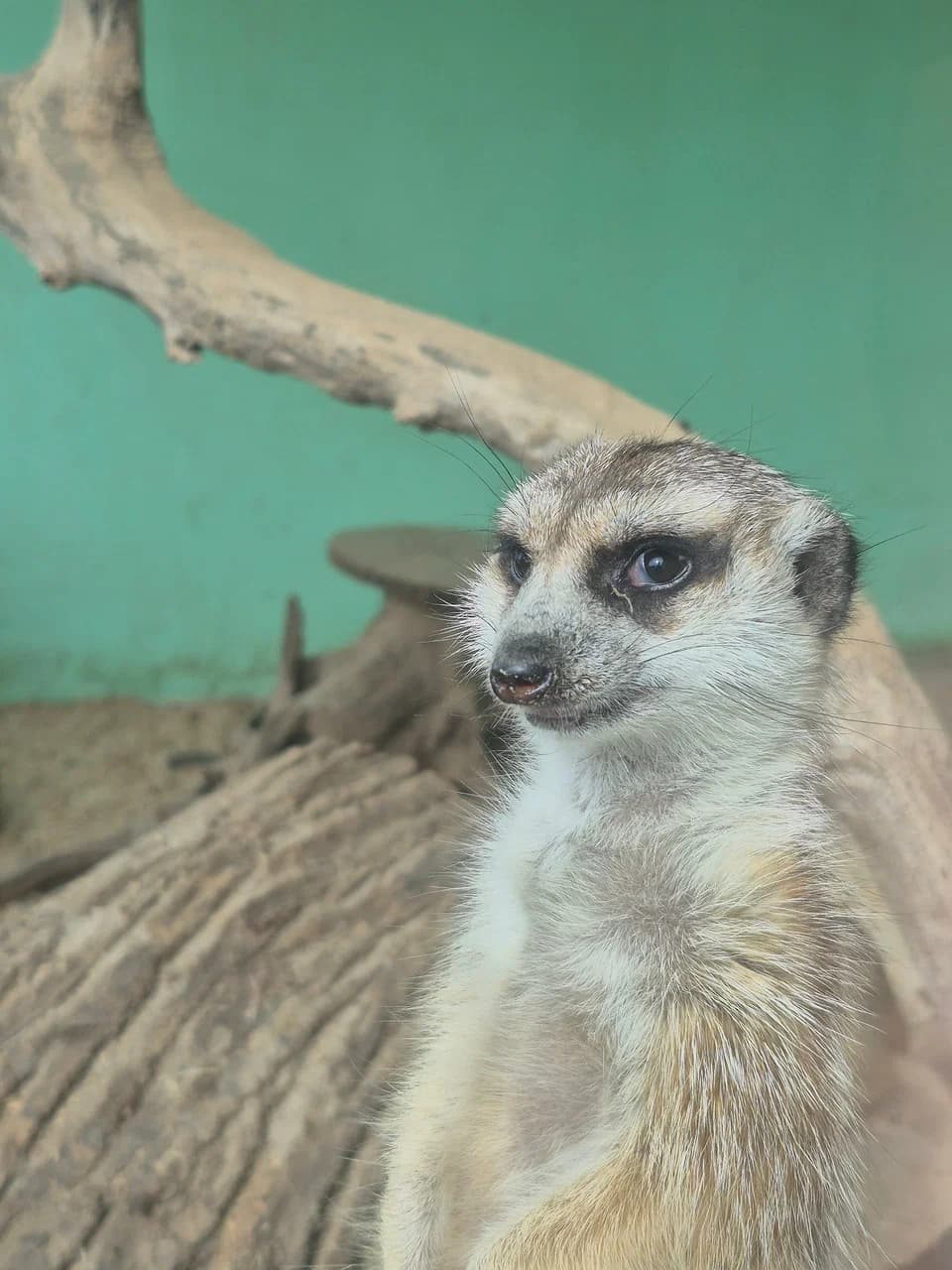 Zalesye. Zhirovichi Zoo (Garden of Eden).