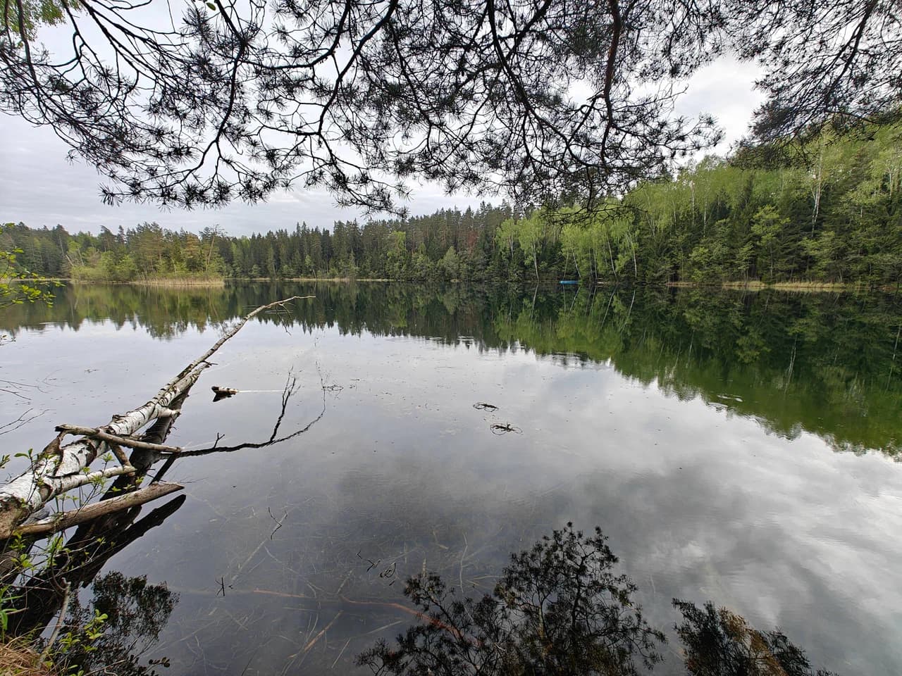 Ecological trail "Blue Lakes".