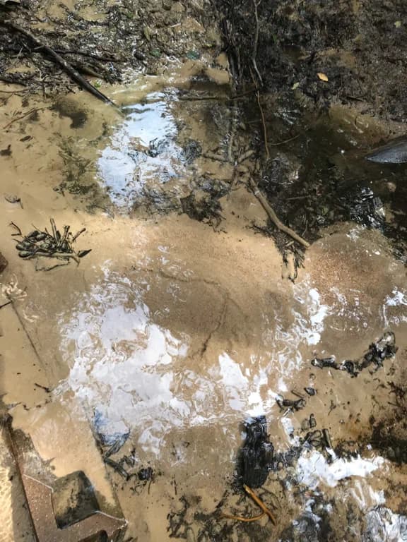 Bolshoi Boltsiksky spring.