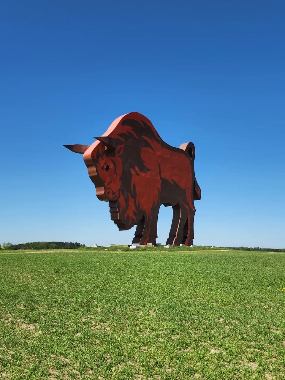 Sculpture of a bison on the M1 highway.